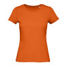 Urban Orange